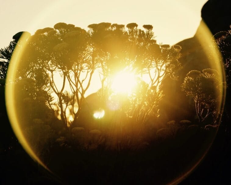 Photo Table Mountain