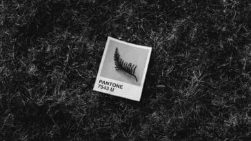 Photo Shona alphabet