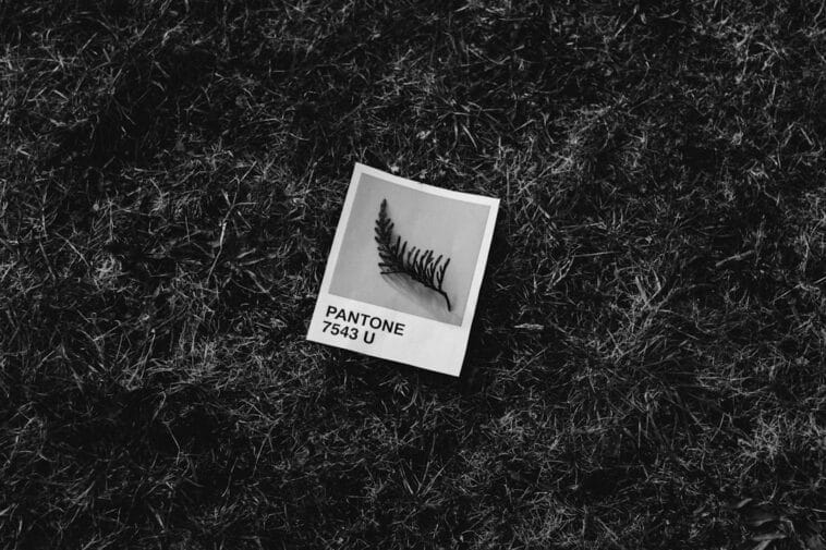 Photo Shona alphabet