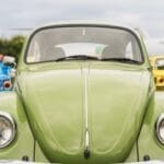 Photo Goliath beetle