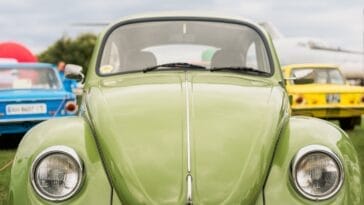 Photo Goliath beetle