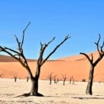 Photo desert investment, land ownership