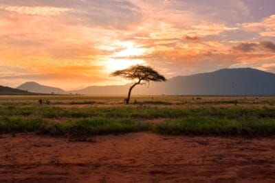 Photo Safari sunset
