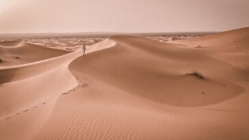 Photo Kalahari Desert, Africa