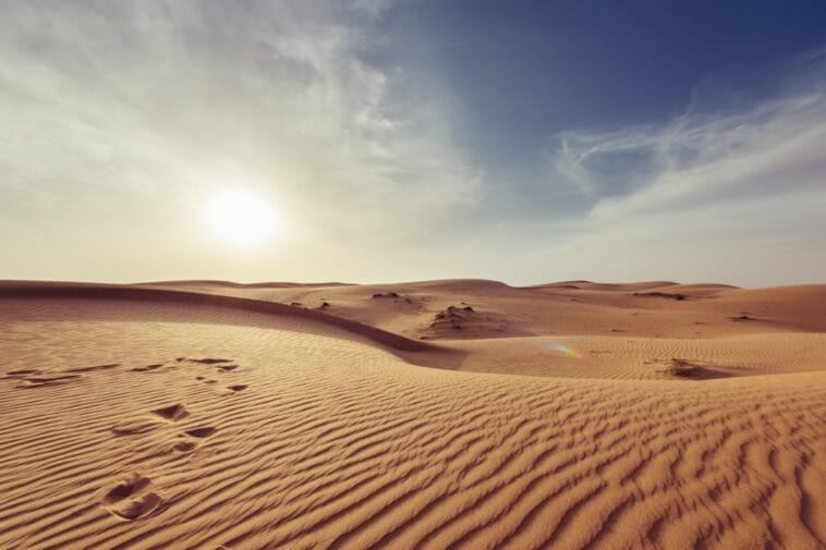 Photo eco-resorts, desert tourism