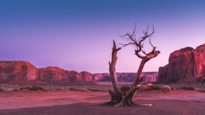 Photo desert property guide, real estate investment