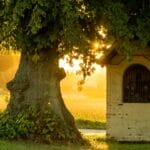 Photo Ancient wonders