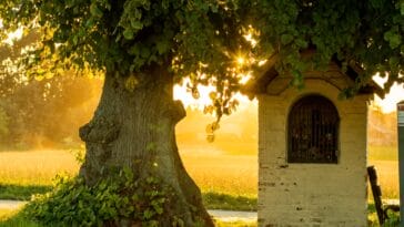 Photo Ancient wonders