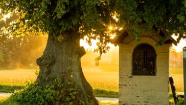 Photo Ancient wonders