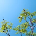 Photo sustainable travel, eco-tourism