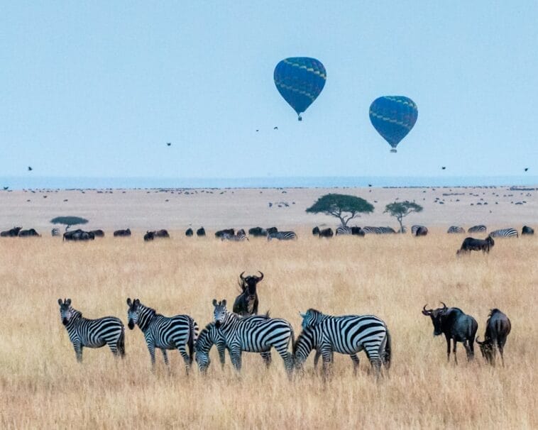 Photo Maasai Mara, Africa