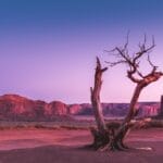 Photo solar energy projects, desert solutions