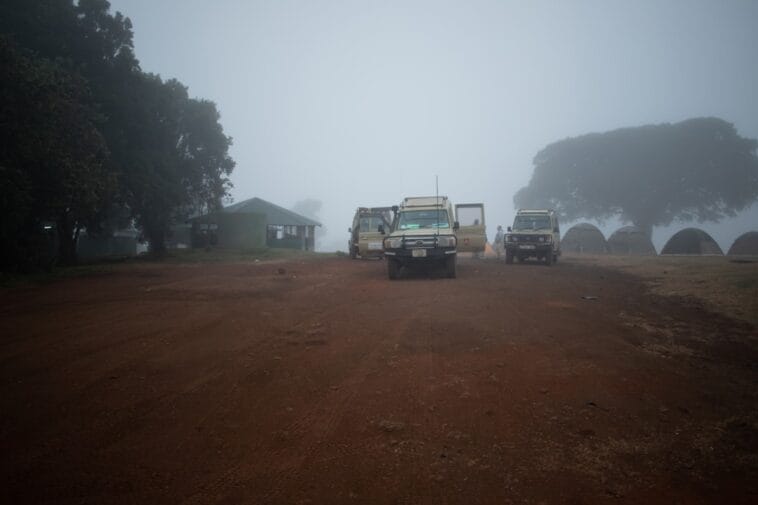 Photo Safari jeep