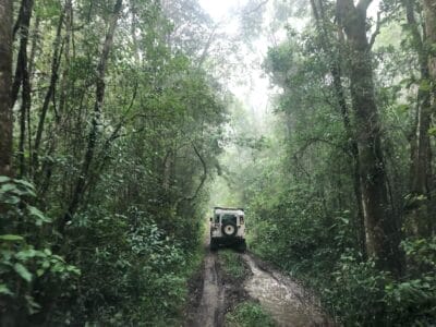 Photo Safari vehicle
