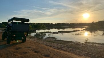 Photo Safari vehicle