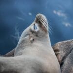 Photo Wildlife encounter