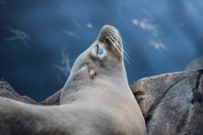 Photo Wildlife encounter