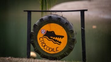 Photo Wildlife encounter