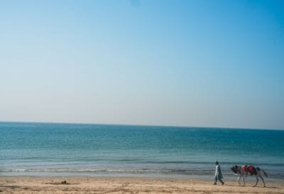 Photo Natures beauty