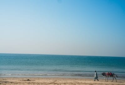 Photo Natures beauty