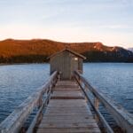 Photo montana huckleberry