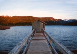 Photo montana huckleberry