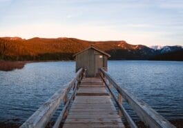 Photo montana huckleberry