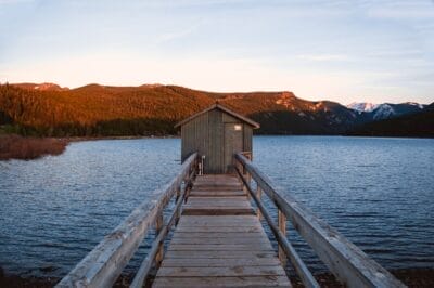 Photo montana huckleberry