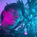 Photo Dracaena marginata