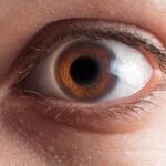 Photo Close-up photo