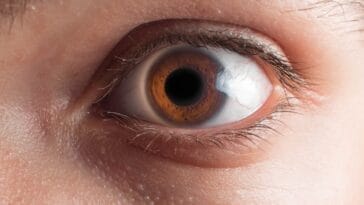 Photo Close-up photo