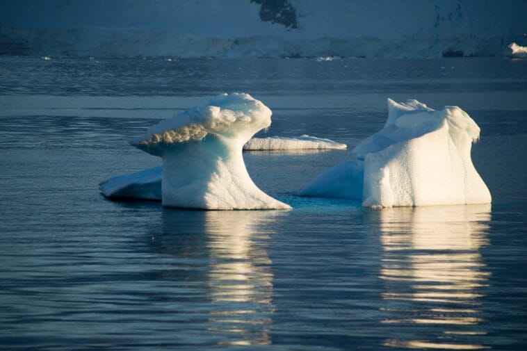 Photo antartica