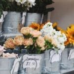 Photo Scarlet blooms