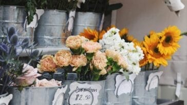 Photo Scarlet blooms