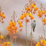 Photo Natures beauty