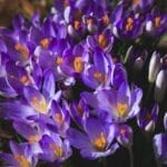 Photo Overly Enthusiastic