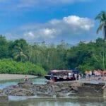 Photo Tropical foliage