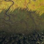 Photo Marine habitat