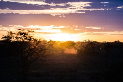 Photo Safari sunset