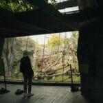 Photo Safari animals