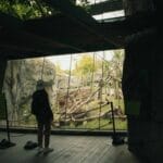 Photo Safari animals