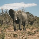 Photo Safari adventure