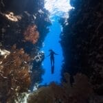 Photo Underwater coral reef