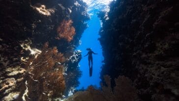 Photo Underwater coral reef