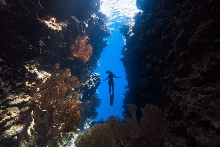 Photo Underwater coral reef