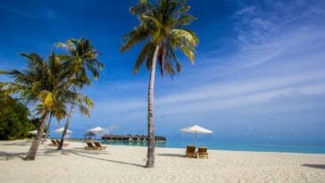 Photo Beach paradise