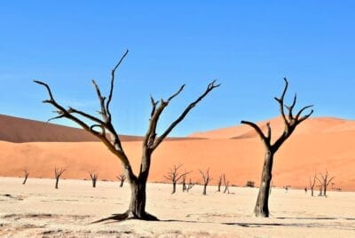 Photo Safari landscape