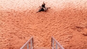 Photo Sandy beach