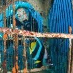 Photo Underwater paradise