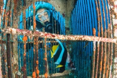 Photo Underwater paradise